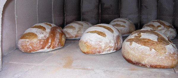 pain cuit avec buée
