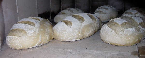 pain cuit sans buée