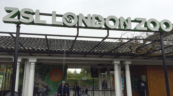 Fire damages café at London Zoo